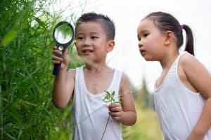 Dos niños buscan curiosos algún insecto entre los arbustos de un prado verde.