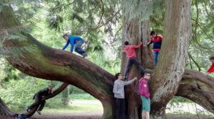 Una buena manera de vivir el inglés fuera del aula es ir al campo y subir a los árboles, como hacen los chicos de la foto.